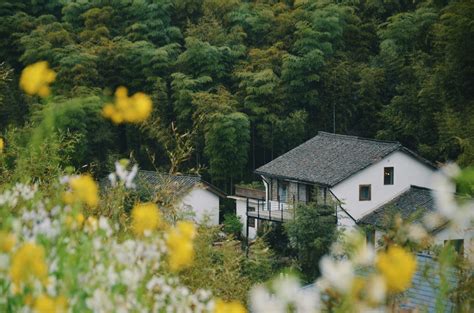 莫乾山|2024 年 莫干山 旅游攻略, 12 月 莫干山 自助游/自驾/出。